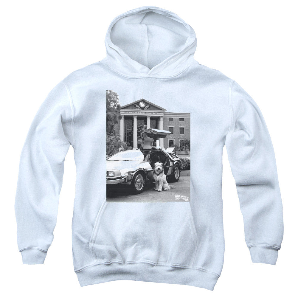 Youth Hooded Sweatshirt