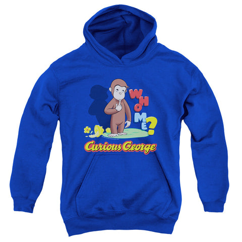 Youth Hooded Sweatshirt