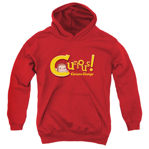 Youth Hooded Sweatshirt