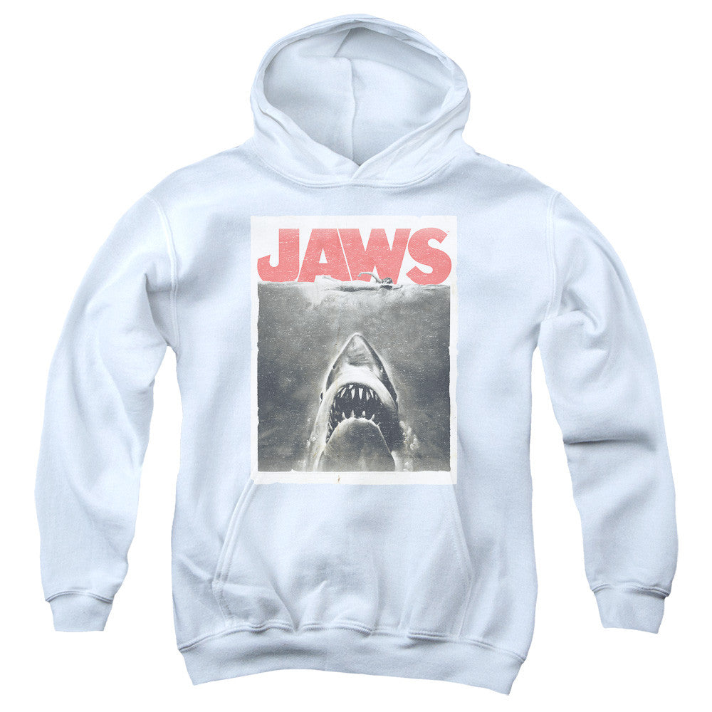 Youth Hooded Sweatshirt