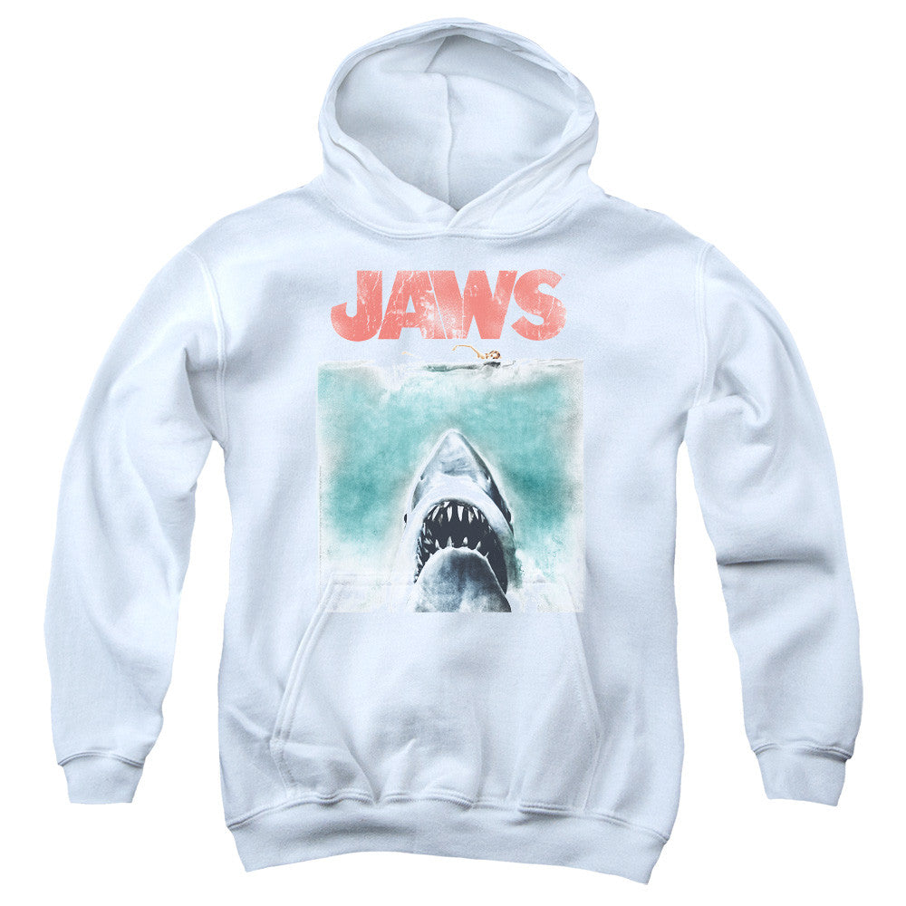 Youth Hooded Sweatshirt