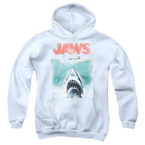 Youth Hooded Sweatshirt