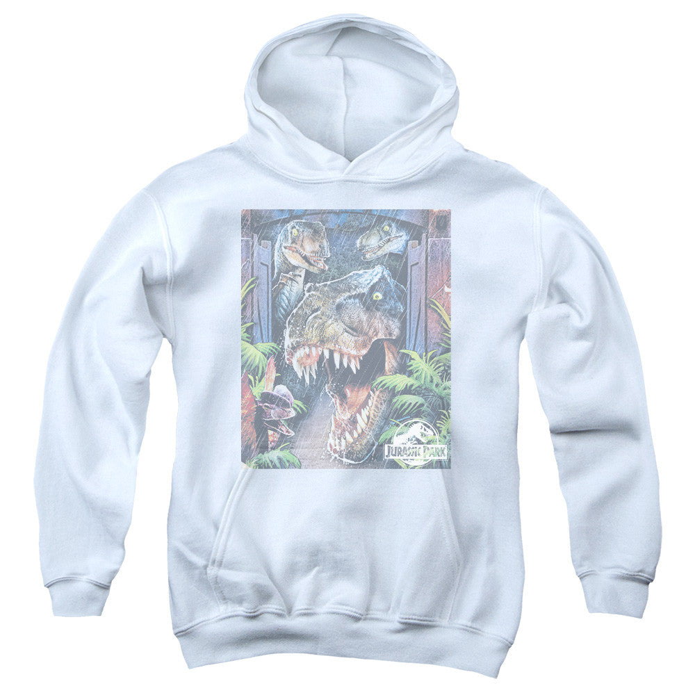 Youth Hooded Sweatshirt