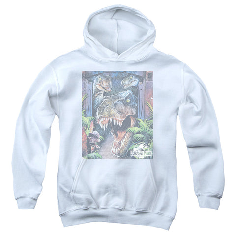 Youth Hooded Sweatshirt