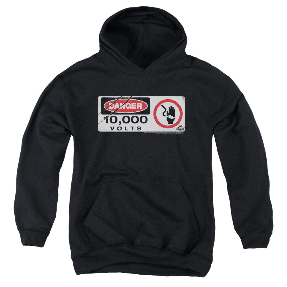 Youth Hooded Sweatshirt