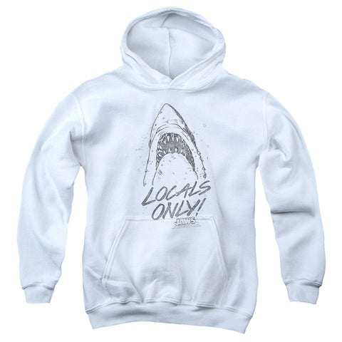 Youth Hooded Sweatshirt