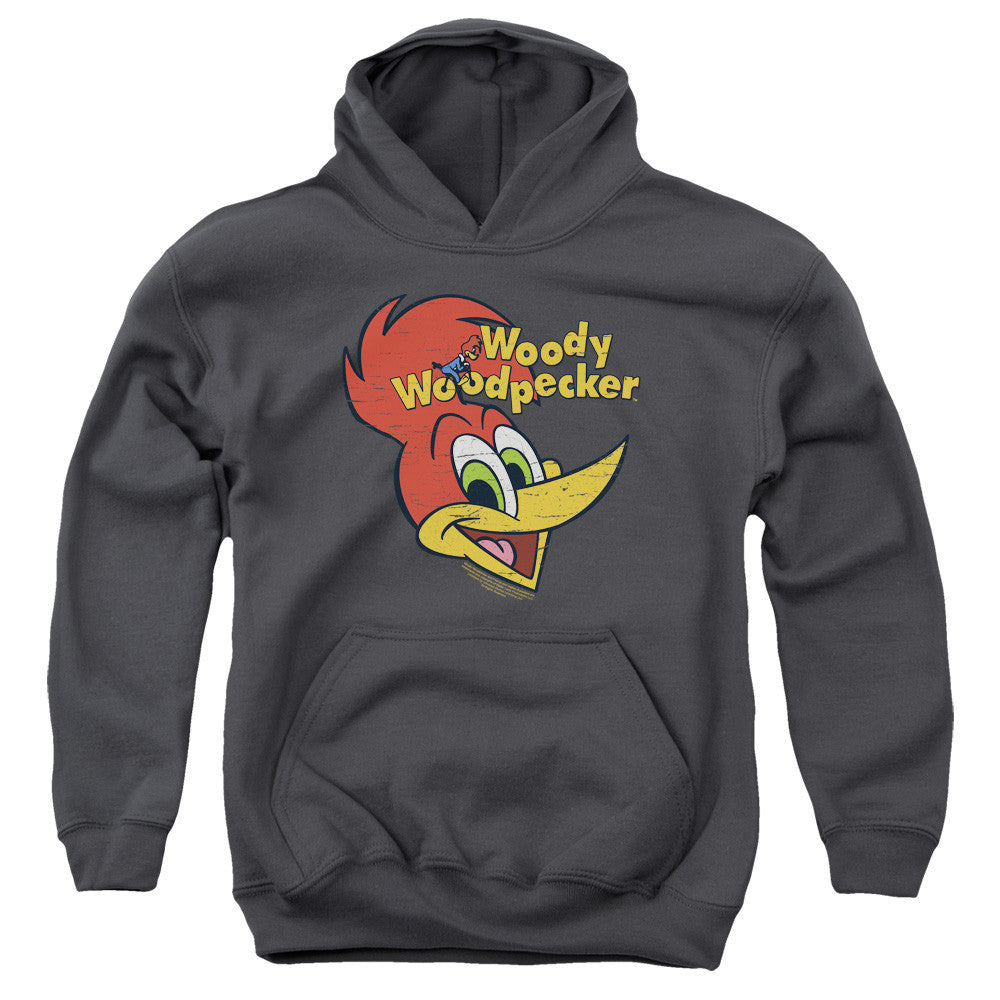 Youth Hooded Sweatshirt