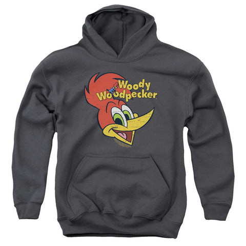 Youth Hooded Sweatshirt