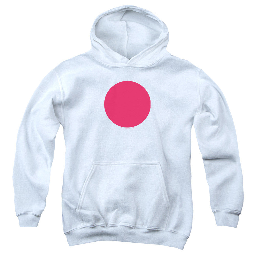 Youth Hooded Sweatshirt