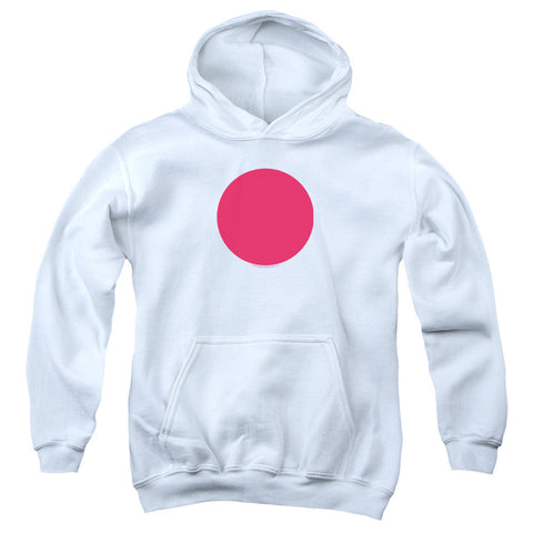Youth Hooded Sweatshirt