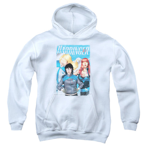 Youth Hooded Sweatshirt