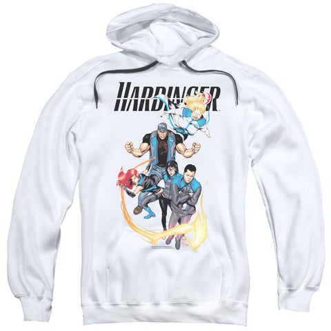 Adult Pull-Over Hoodie