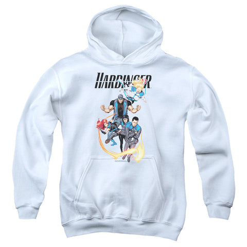 Youth Hooded Sweatshirt