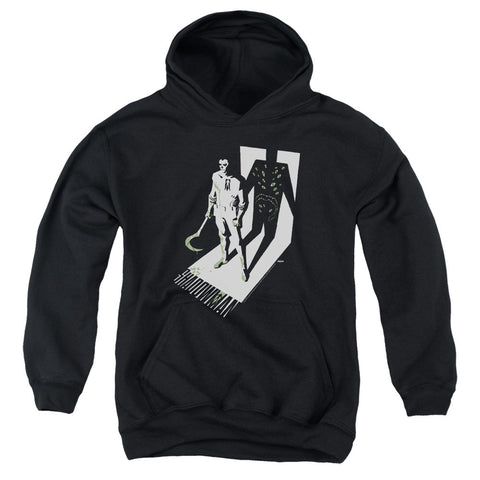 Youth Hooded Sweatshirt