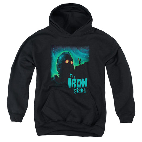 Youth Hooded Sweatshirt