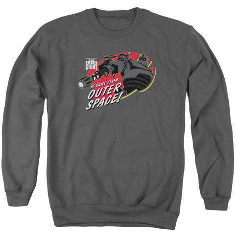 Adult Crewneck Sweatshirt