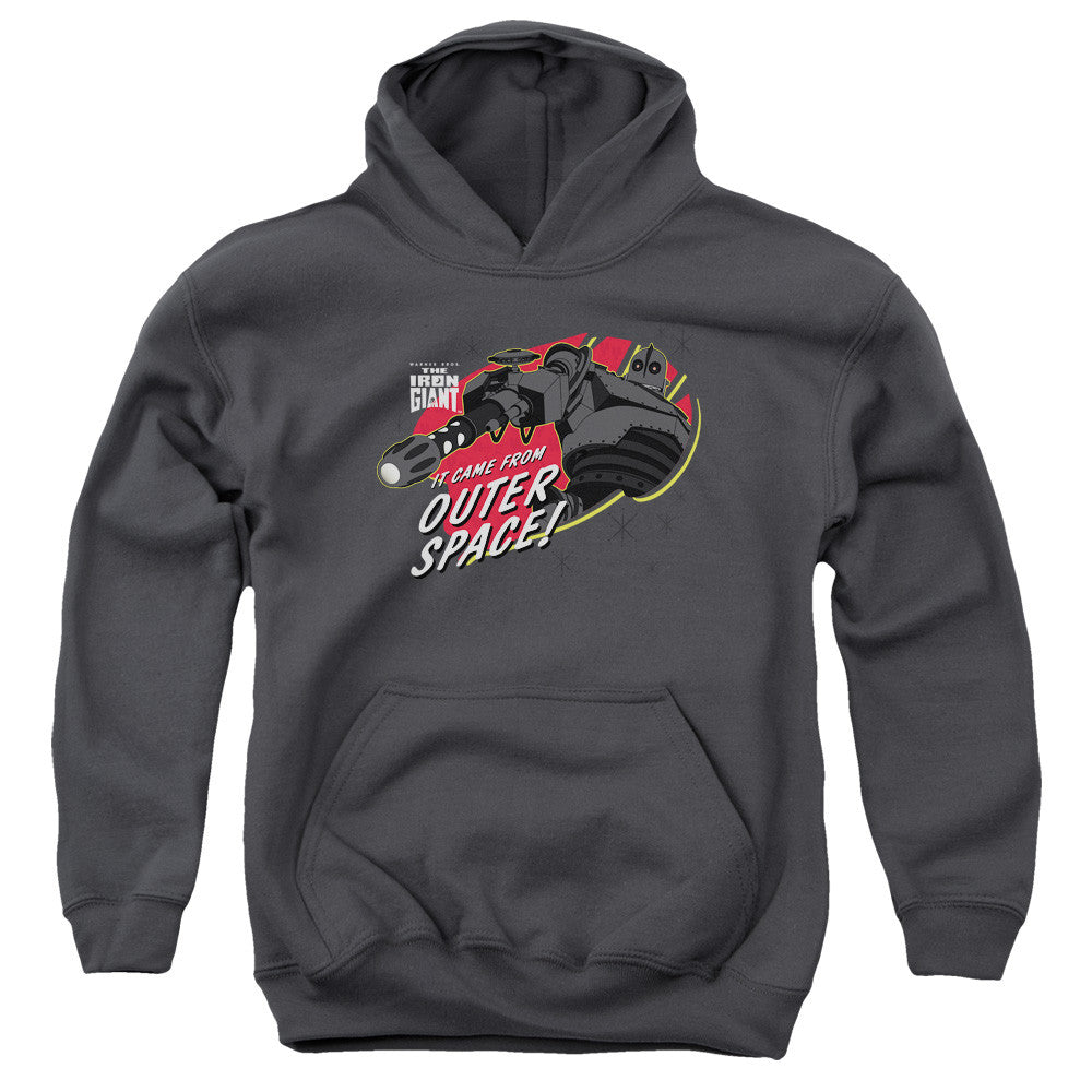 Youth Hooded Sweatshirt