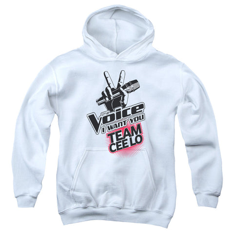 Youth Hooded Sweatshirt