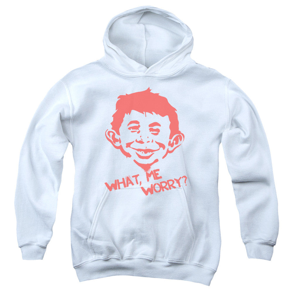 Youth Hooded Sweatshirt