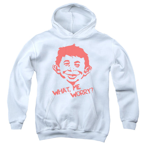 Youth Hooded Sweatshirt