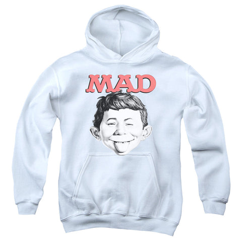 Youth Hooded Sweatshirt