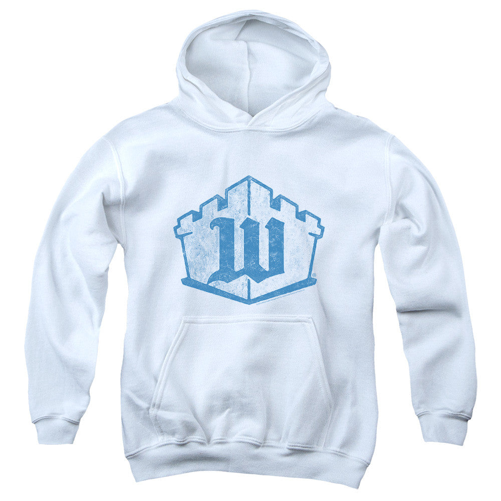 Youth Hooded Sweatshirt