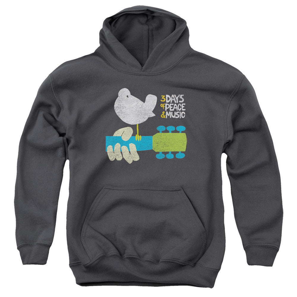 Youth Hooded Sweatshirt