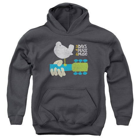 Youth Hooded Sweatshirt