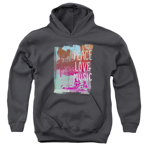 Youth Hooded Sweatshirt