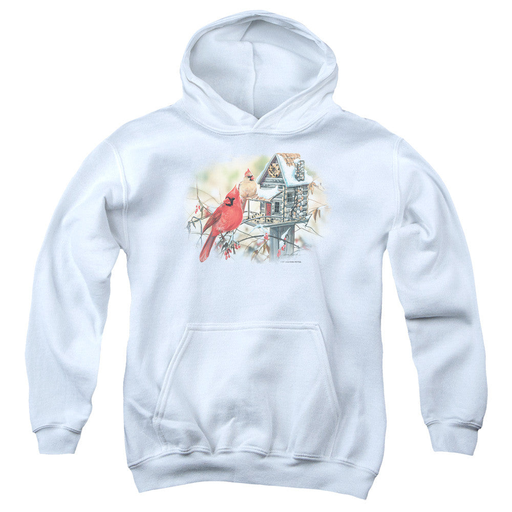 Youth Hooded Sweatshirt