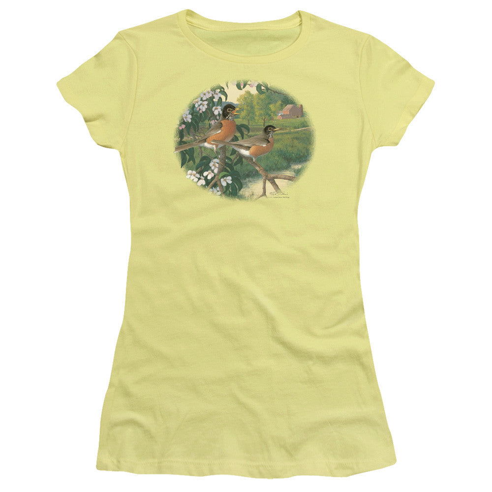 Juniors Sheer Cap Sleeve