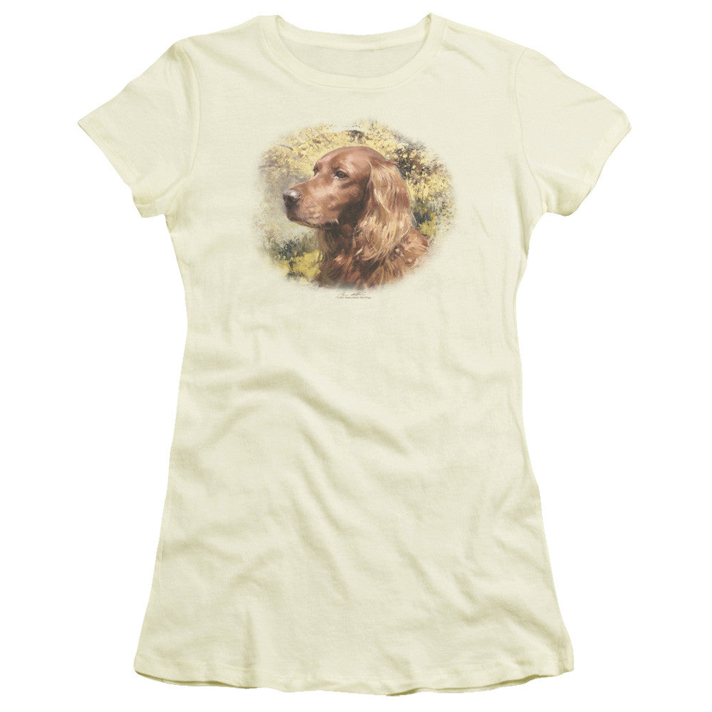 Juniors Sheer Cap Sleeve