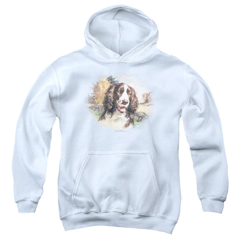 Youth Hooded Sweatshirt