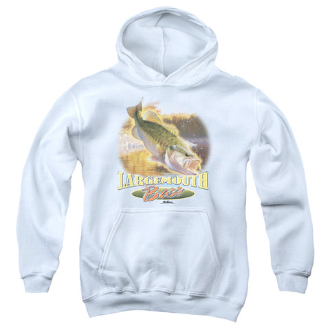 Youth Hooded Sweatshirt