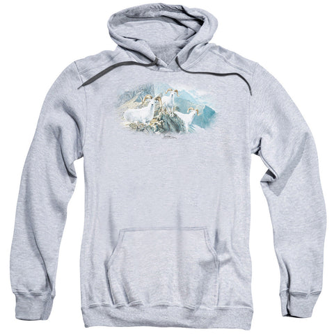 Adult Pull-Over Hoodie
