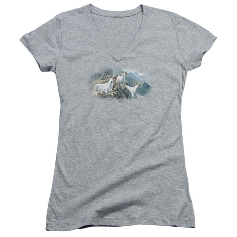 Juniors Sheer Cap Sleeve V-Neck