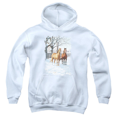 Youth Hooded Sweatshirt