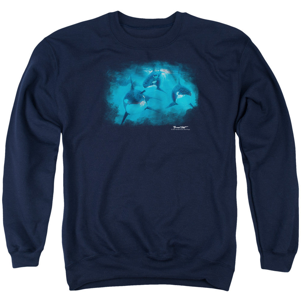 Adult Crewneck Sweatshirt