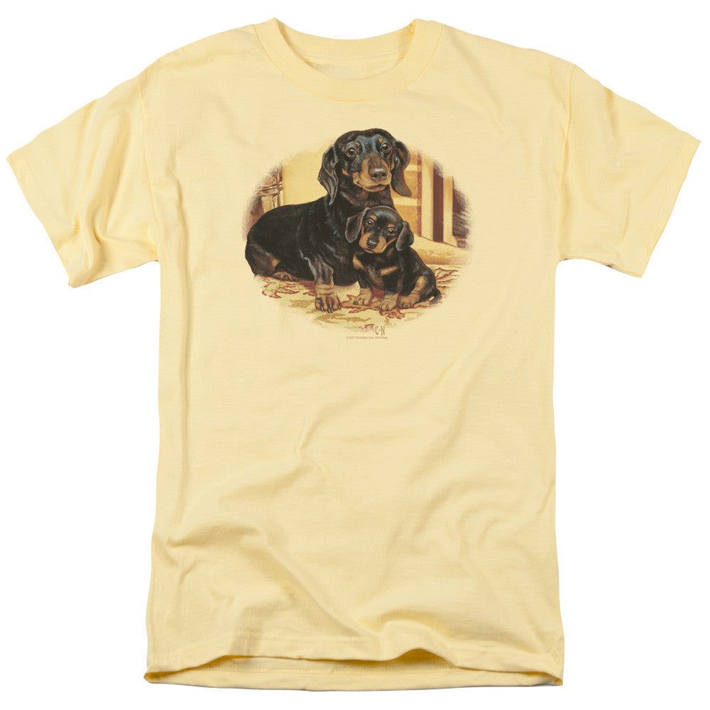 Adult Regular Fit Short Sleeve