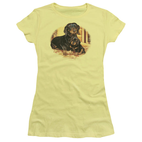 Juniors Sheer Cap Sleeve