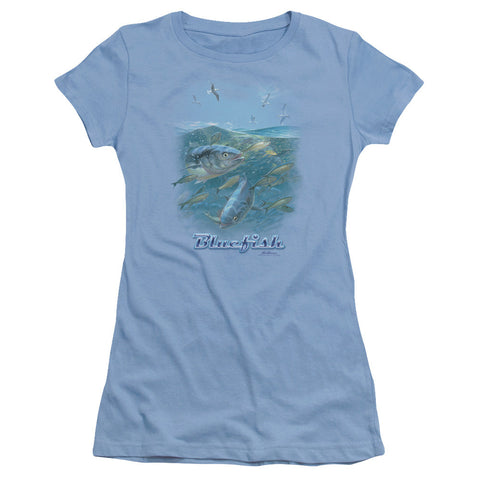 Juniors Sheer Cap Sleeve