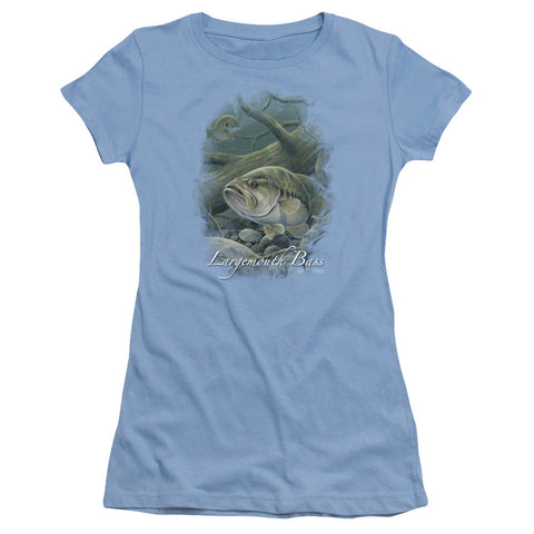 Juniors Sheer Cap Sleeve