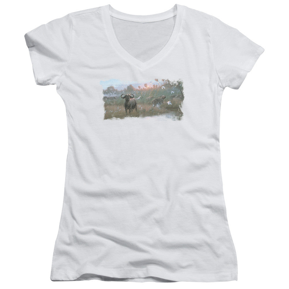 Juniors Sheer Cap Sleeve V-Neck